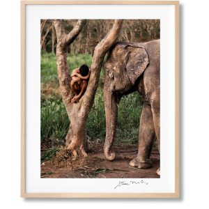 Steve McCurry. Animals. Art Edition No. 1–100 ‘Chiang Mai, Thailand, 2010’