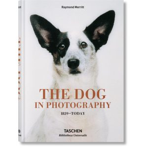 The Dog in Photography 1839–Today