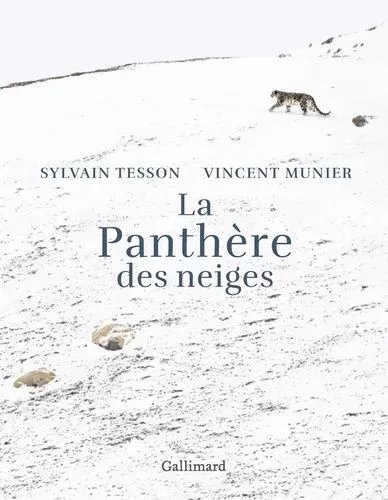 La Panthère Des Neiges