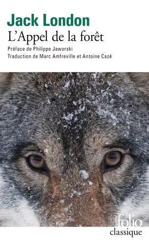 L'appel De La Forêt