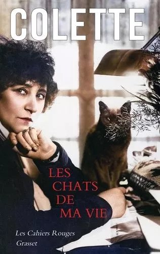 Les Chats De Ma Vie