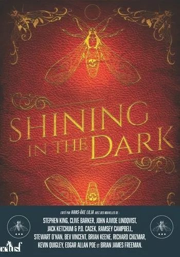 Shining In The Dark - Fêter Les Vingt Ans De Lilja's Library