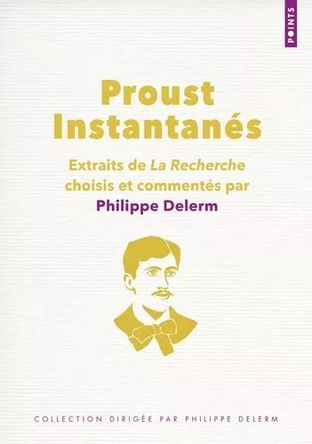 Proust Instantanés - Extraits De La Recherche Choisis Et Commentés Par Philippe Delerm